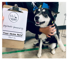 Load image into Gallery viewer, Spay/Neuter Sponsor
