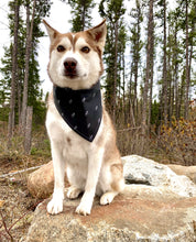 Load image into Gallery viewer, The Wild North Dog Rescue Bandana