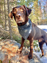 Load image into Gallery viewer, The Wild North Dog Rescue Bandana
